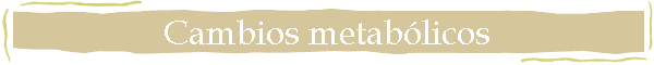 Cambios metabólicos